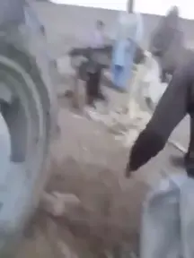 HMFT after I break up a fight between dogs