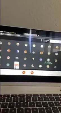 WCGW Forgetting to Mute Yourself in a Zoom Meeting