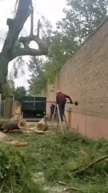 to cut a branch without injuring themselves