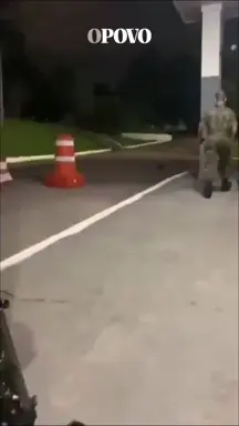 Militar do exército é filmado se divertindo ao agredir um filhote de tamanduá