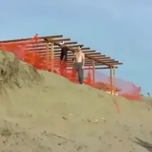 To jump over the driftwood on the beach