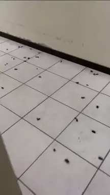 This man is dubbed the “Roach man”